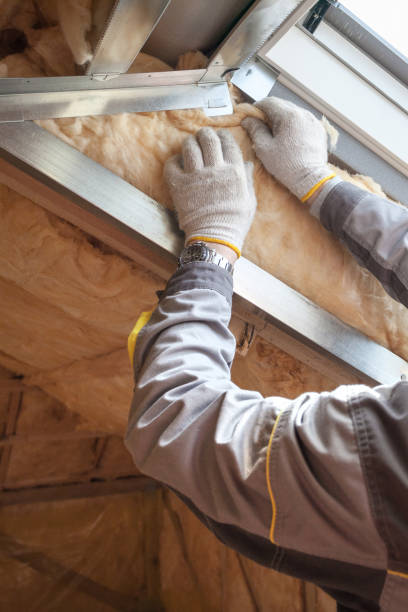 Best Cellulose Insulation in Watsessing, NJ